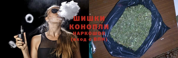 амф Краснослободск