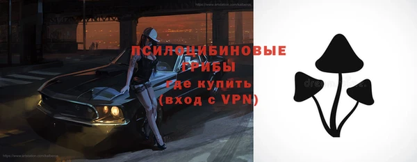 дмт Краснотурьинск