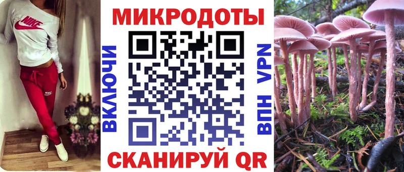 Псилоцибиновые грибы ЛСД Чекалин